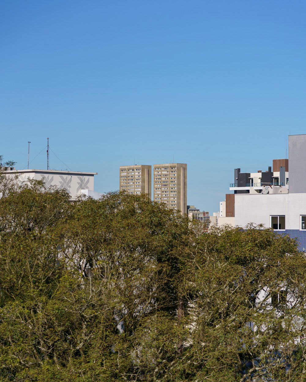 a view of a city with tall buildings and trees