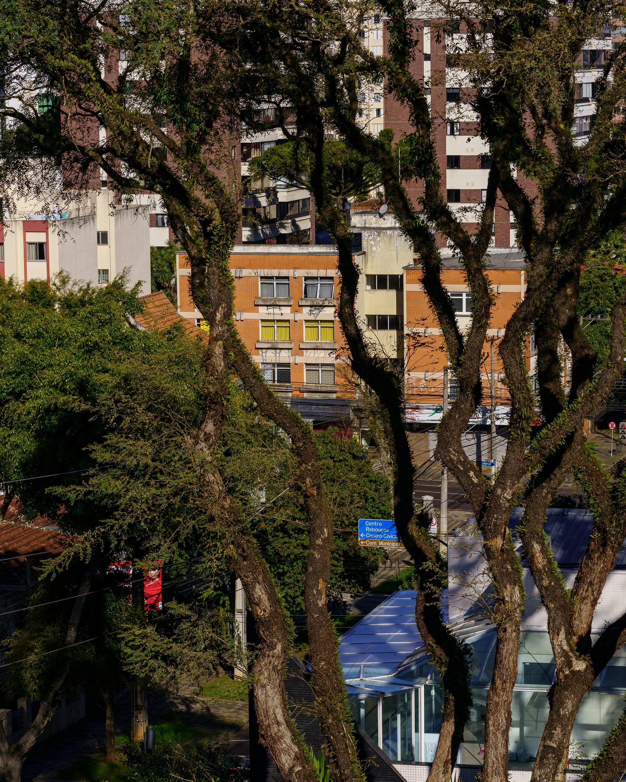 a view of a city from a hill