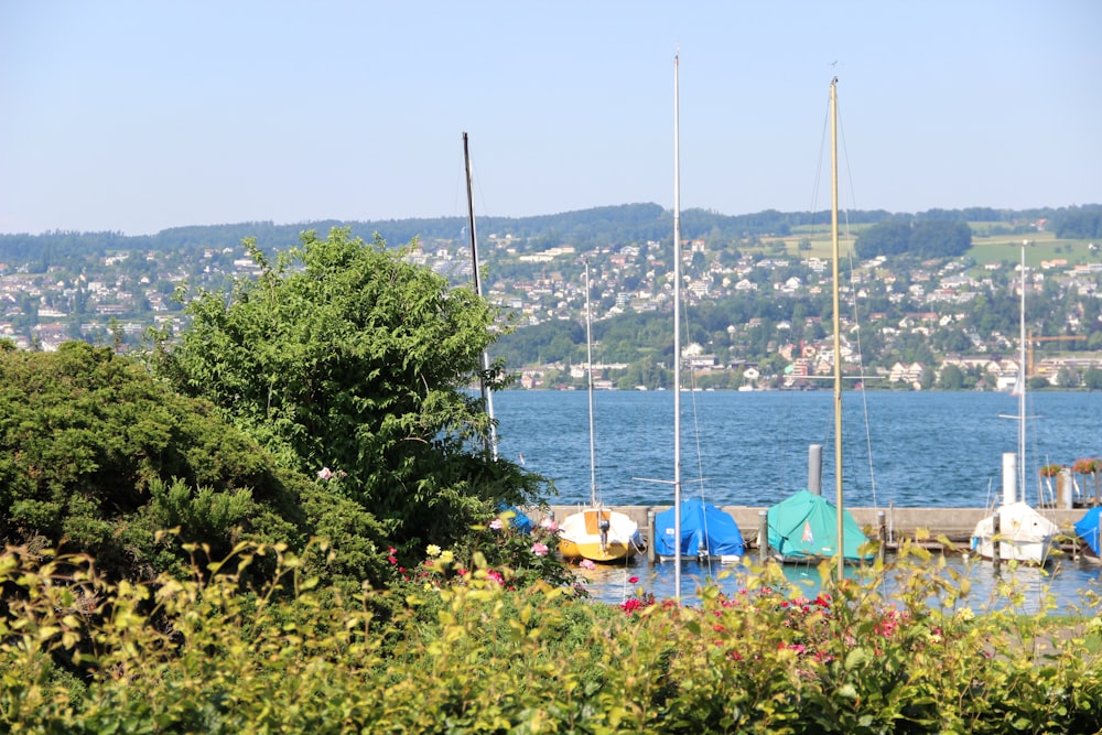 a group of boats sitting on top of a body of water