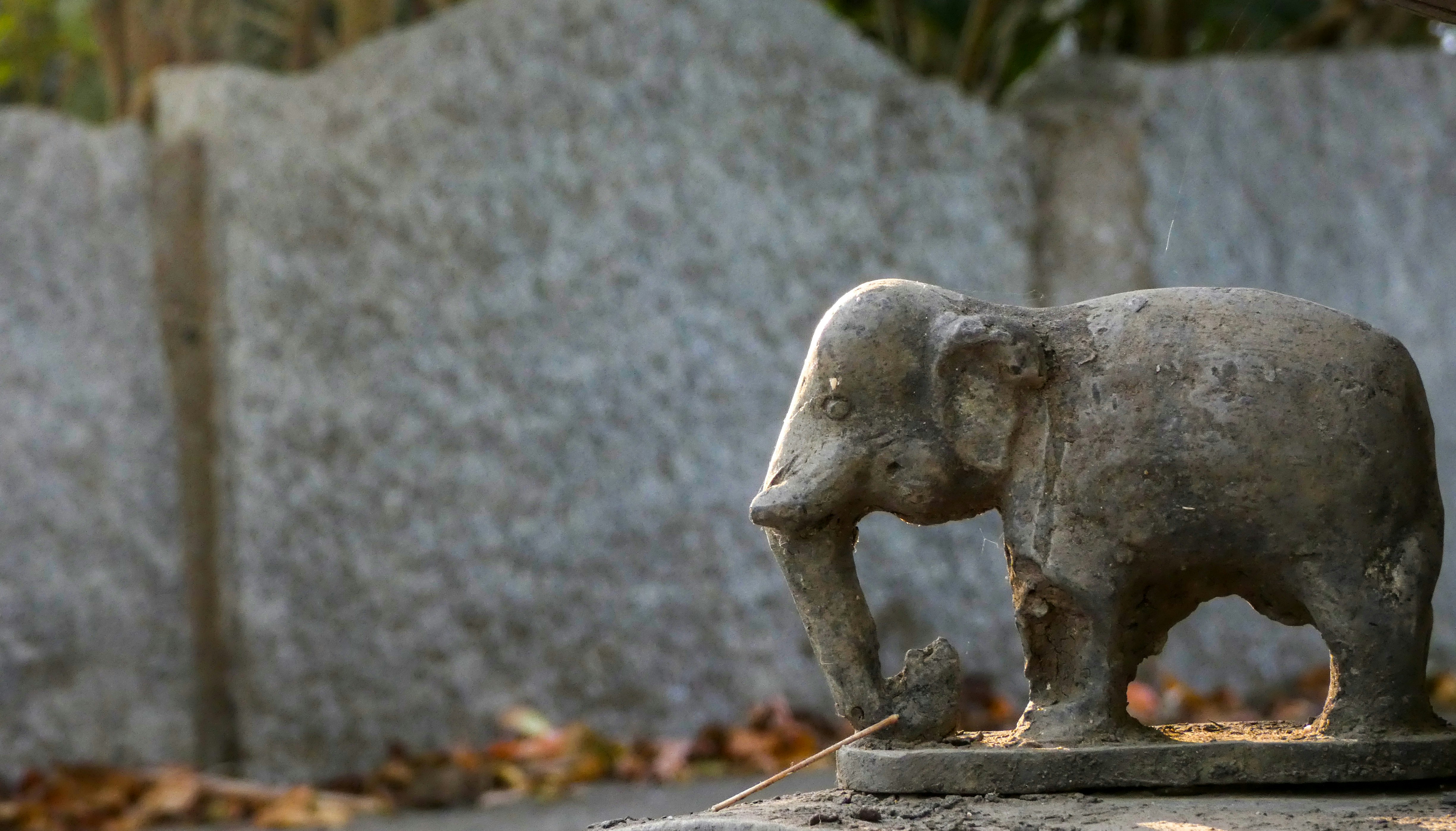 Photo by akashravuri