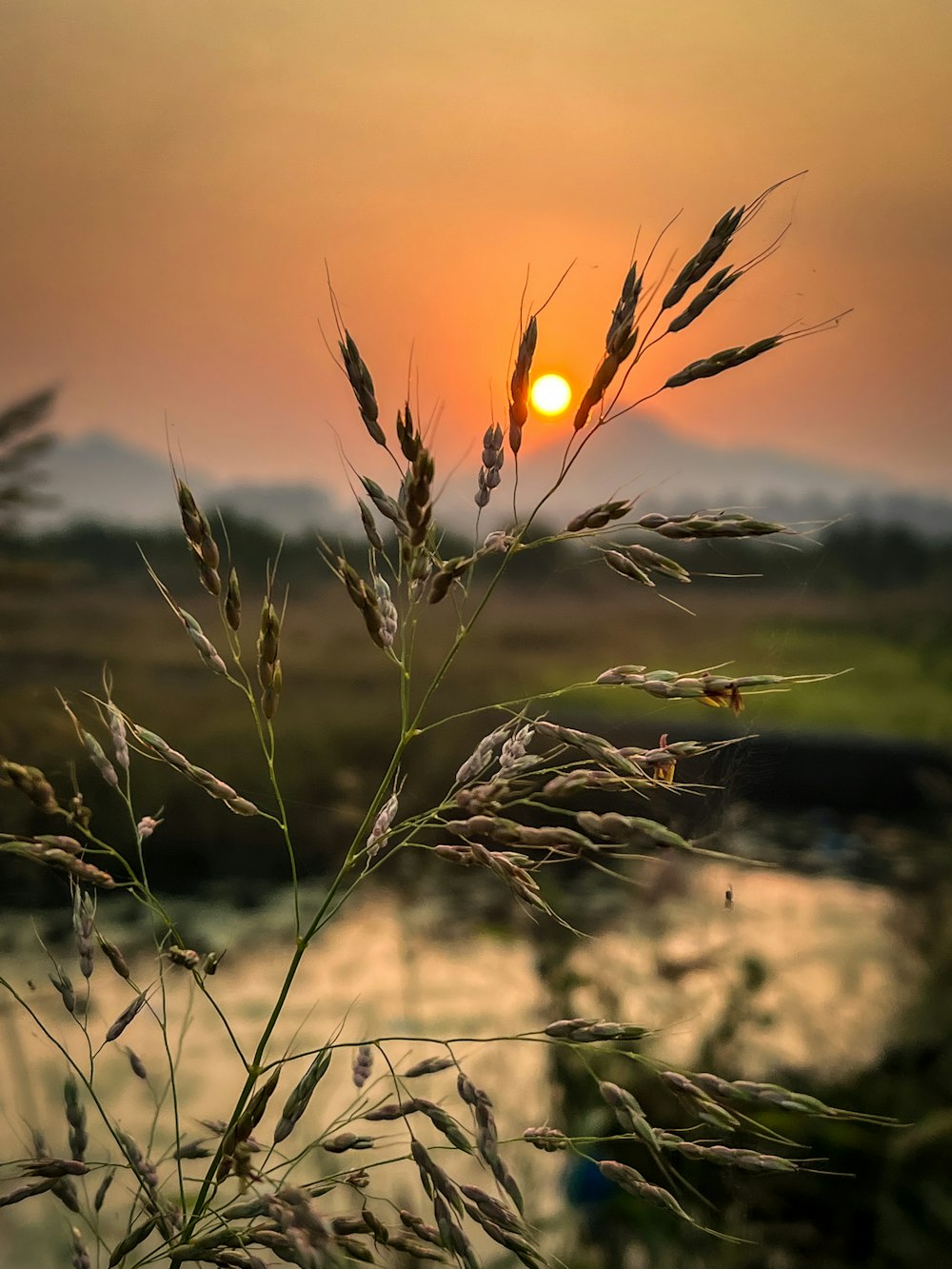 Le soleil se couche sur un plan d’eau