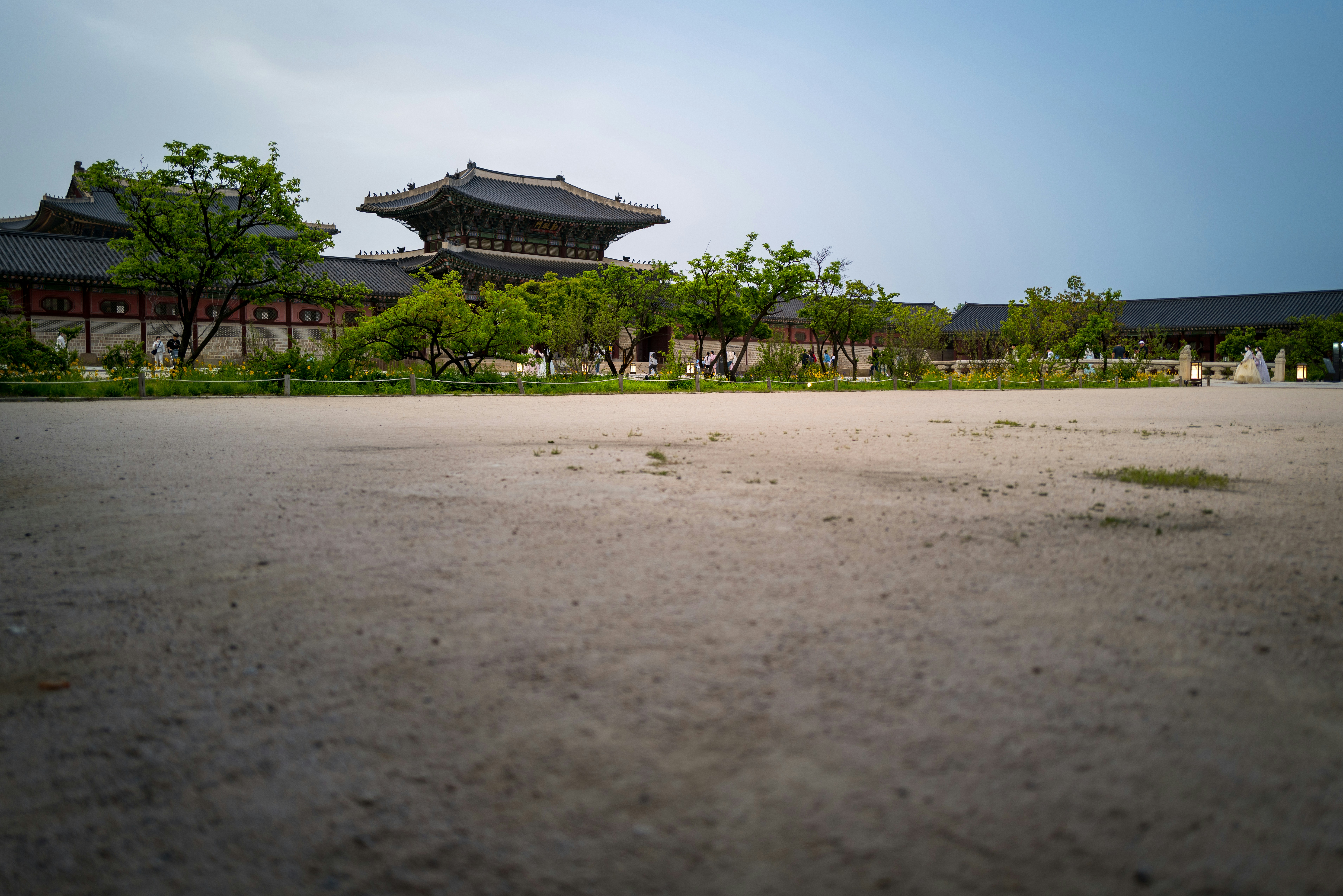 청룡장 트렌드와 인기의 비결 분석