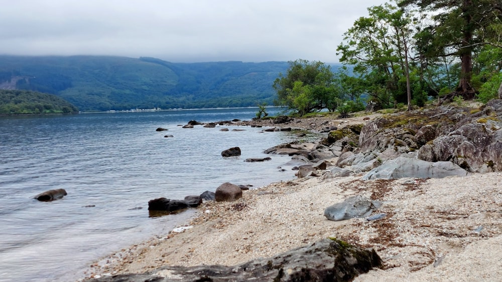 a body of water surrounded by rocks and trees