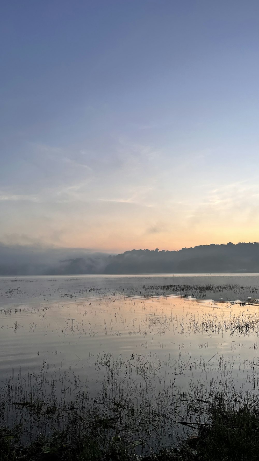 a large body of water surrounded by grass