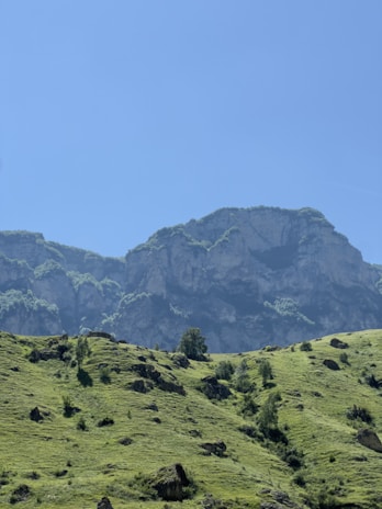 A picturesque landscape of lush green hills in Tucumán.