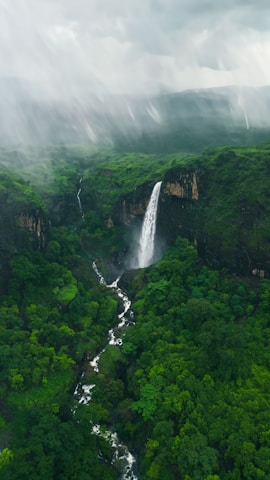 a waterfall in the middle of a lush green forest