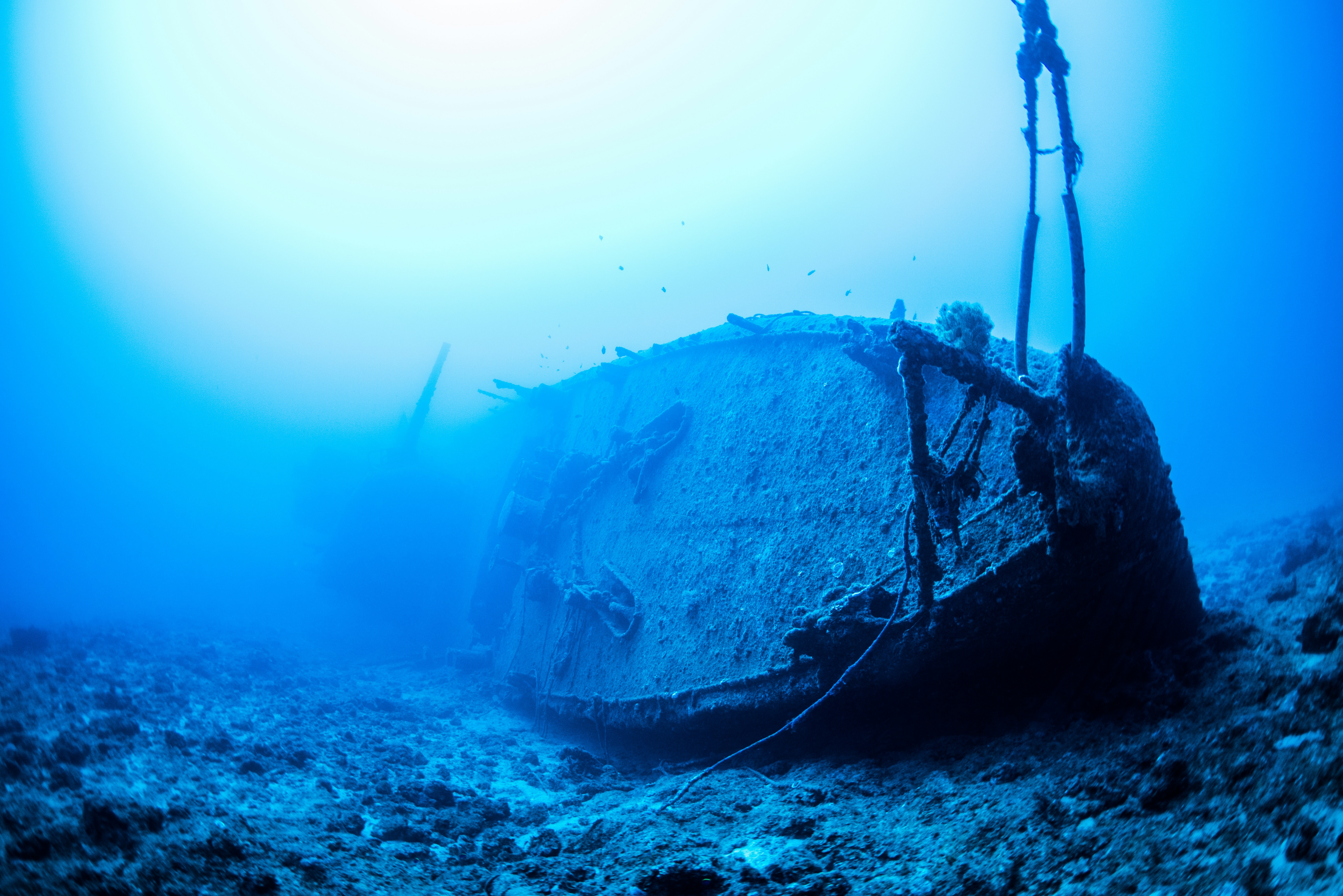 The Shipwreck That Changed History (image credits: unsplash)