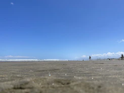 A family enjoying a sunny beach vacation with clear blue skies