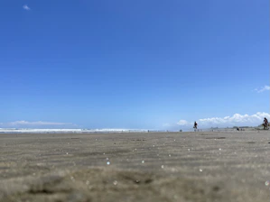 A family enjoying a sunny beach vacation with clear blue skies