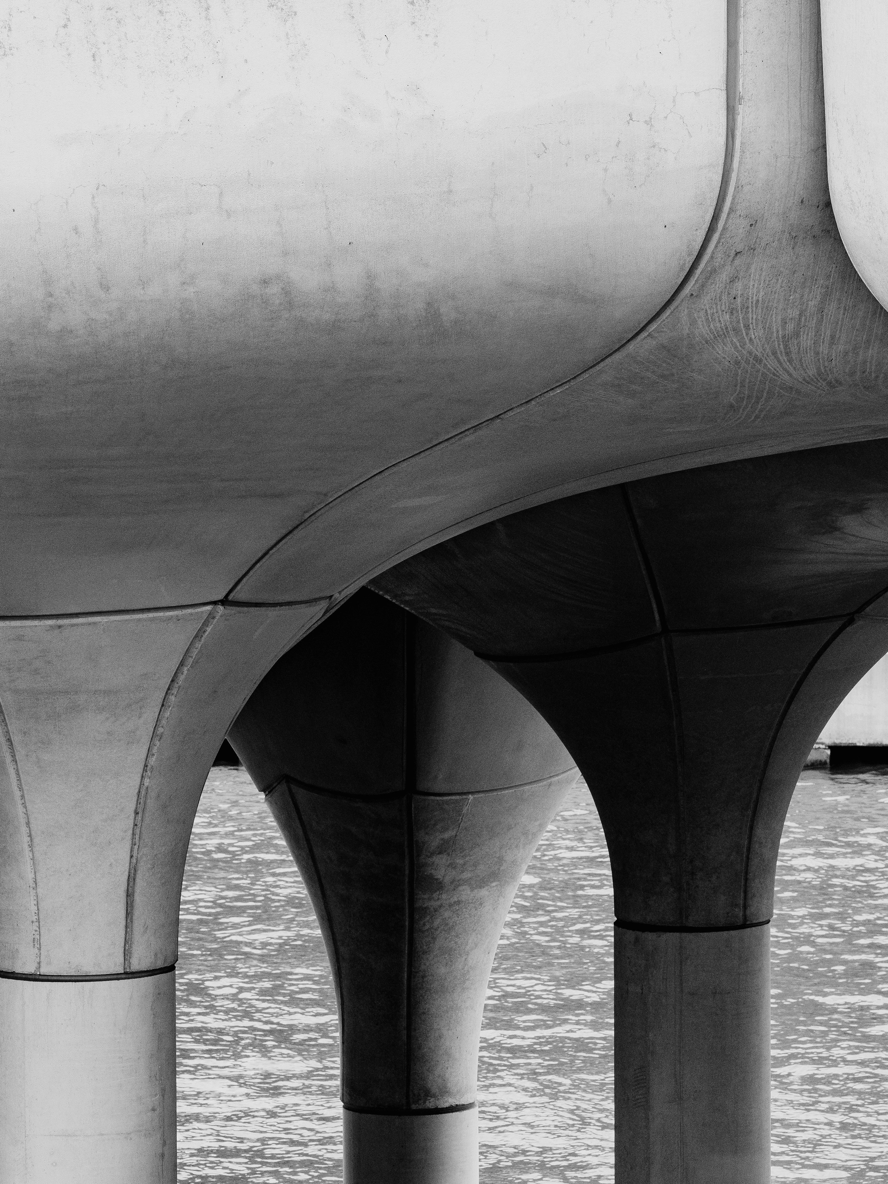 水に架かる橋の白黒写真