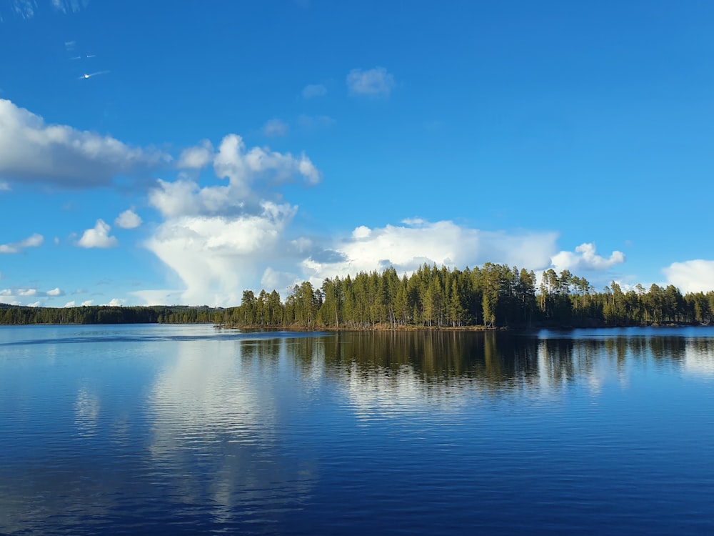 a body of water surrounded by trees and clouds