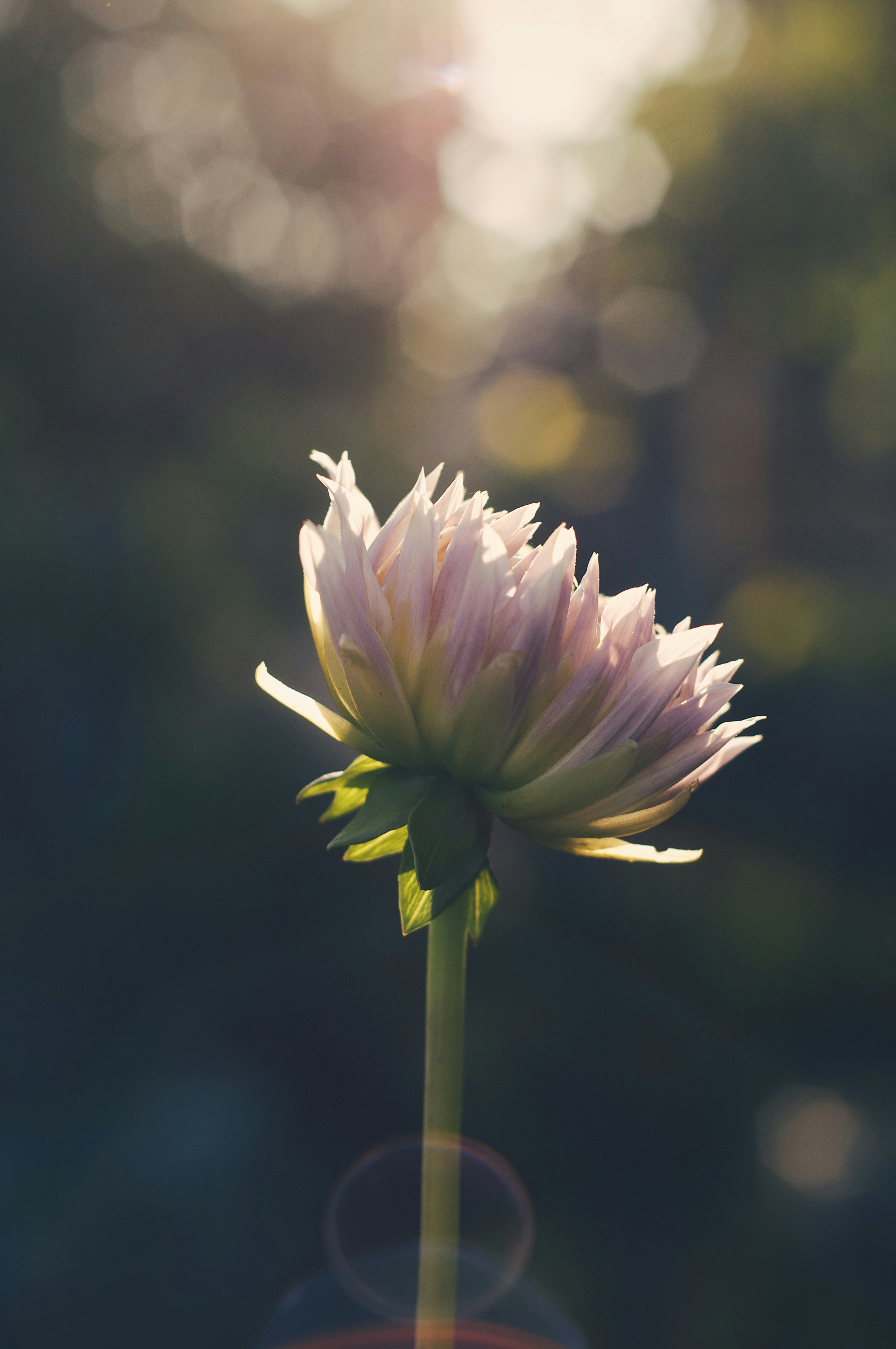 Photo by gorchinska88