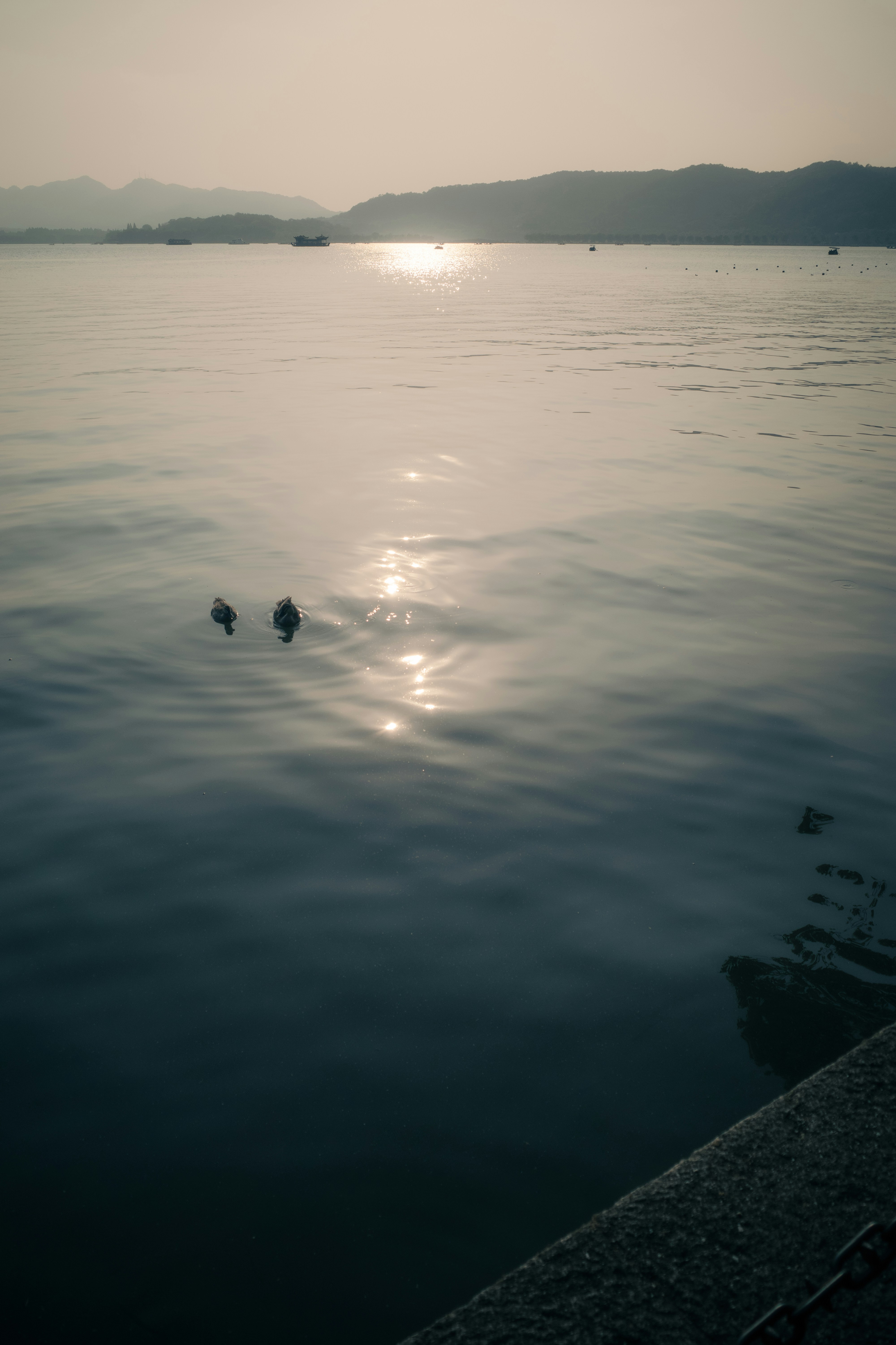 Photo by asabasai