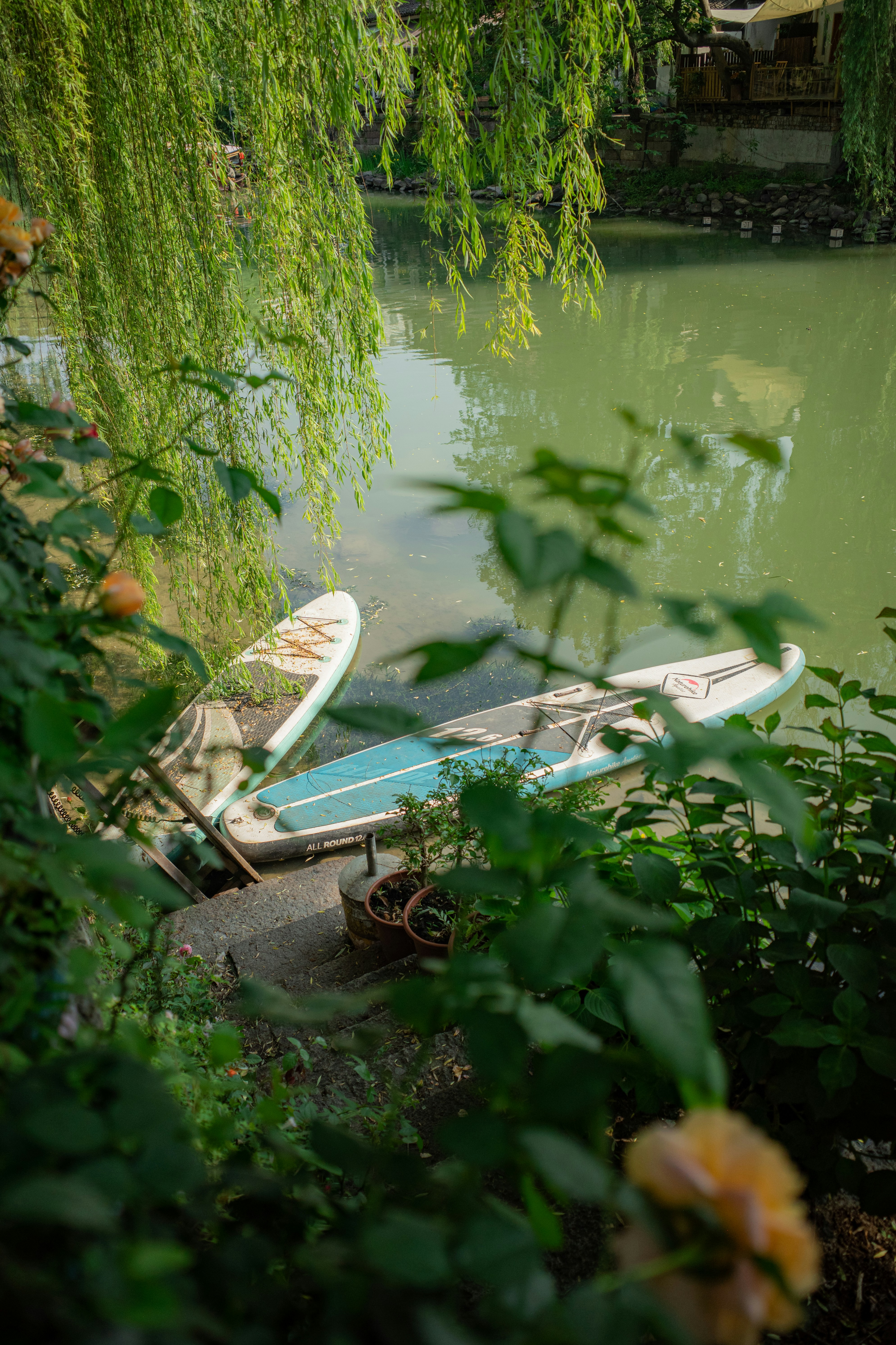 Photo by asabasai
