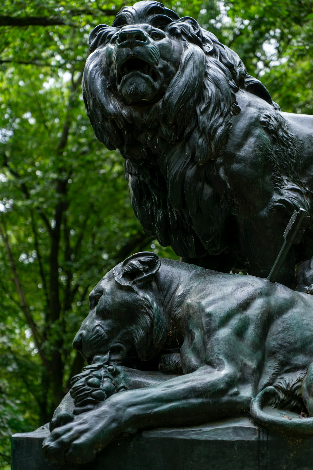 Una estatua de un león y un perro en un parque