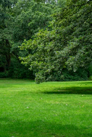 a park bench sitting in the middle of a lush green park