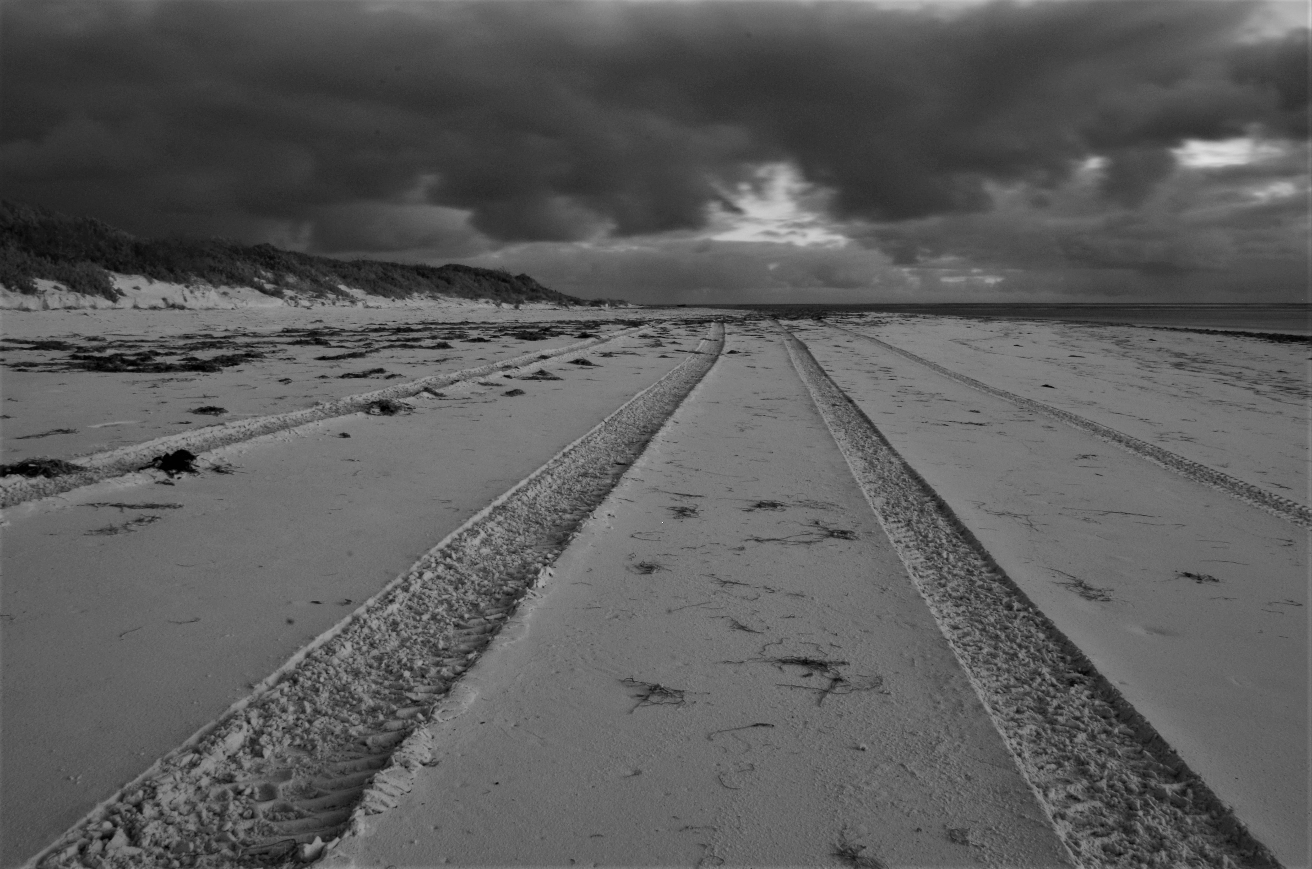 Marmion Beach