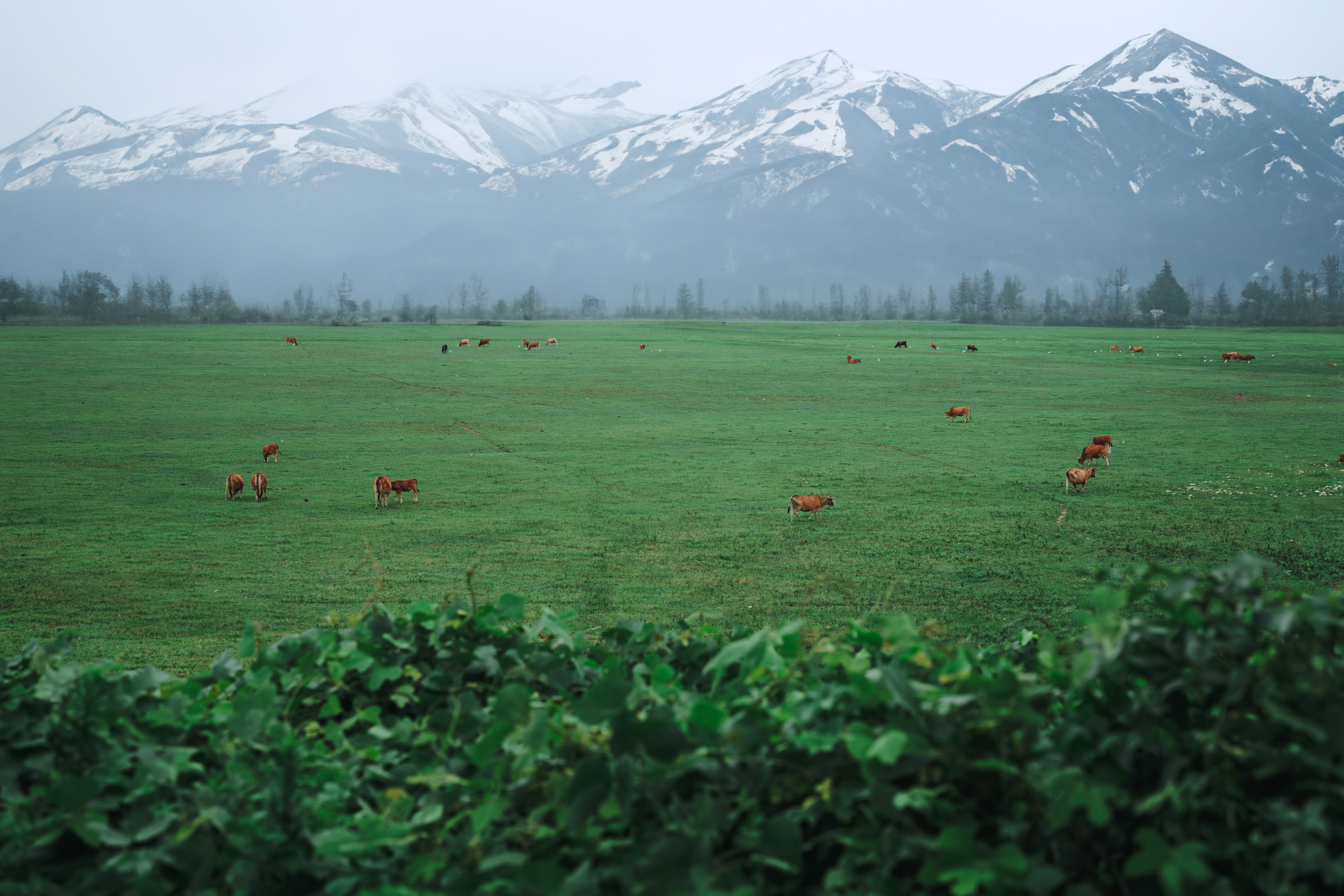 Lambda表达式(三)