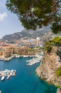 a view of a harbor with boats in the water