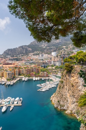 a view of a harbor with boats in the water