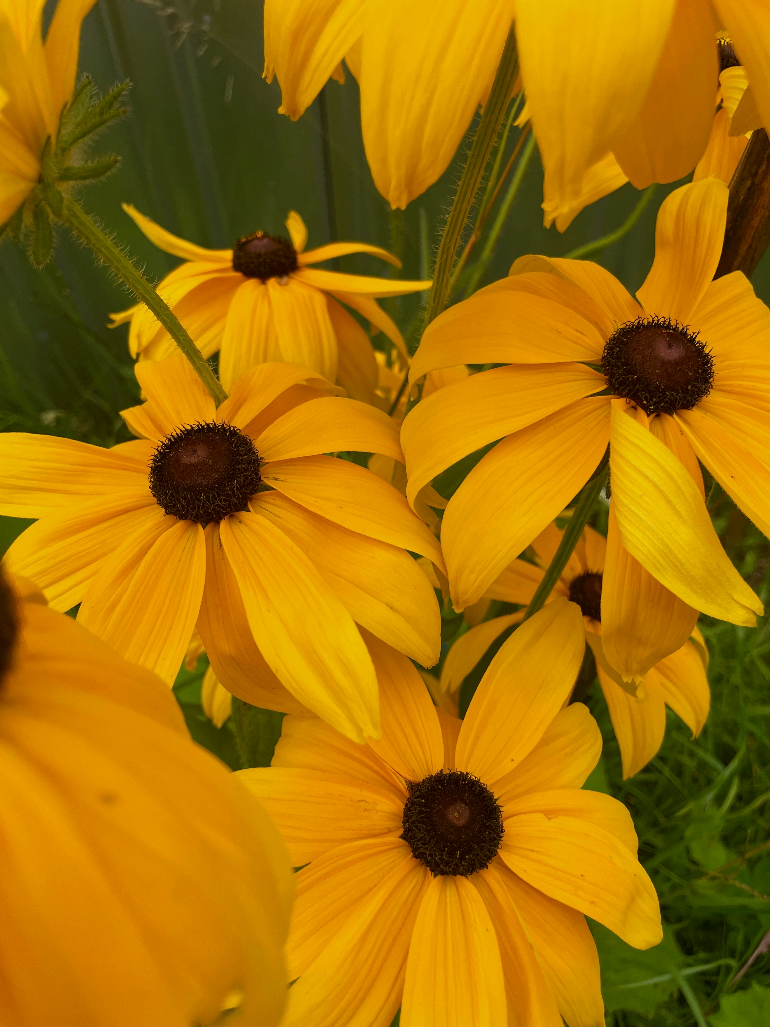 Photo by svetlananklv