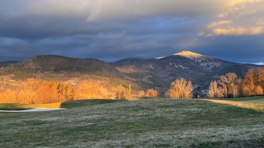 a grassy field with mountains in the background