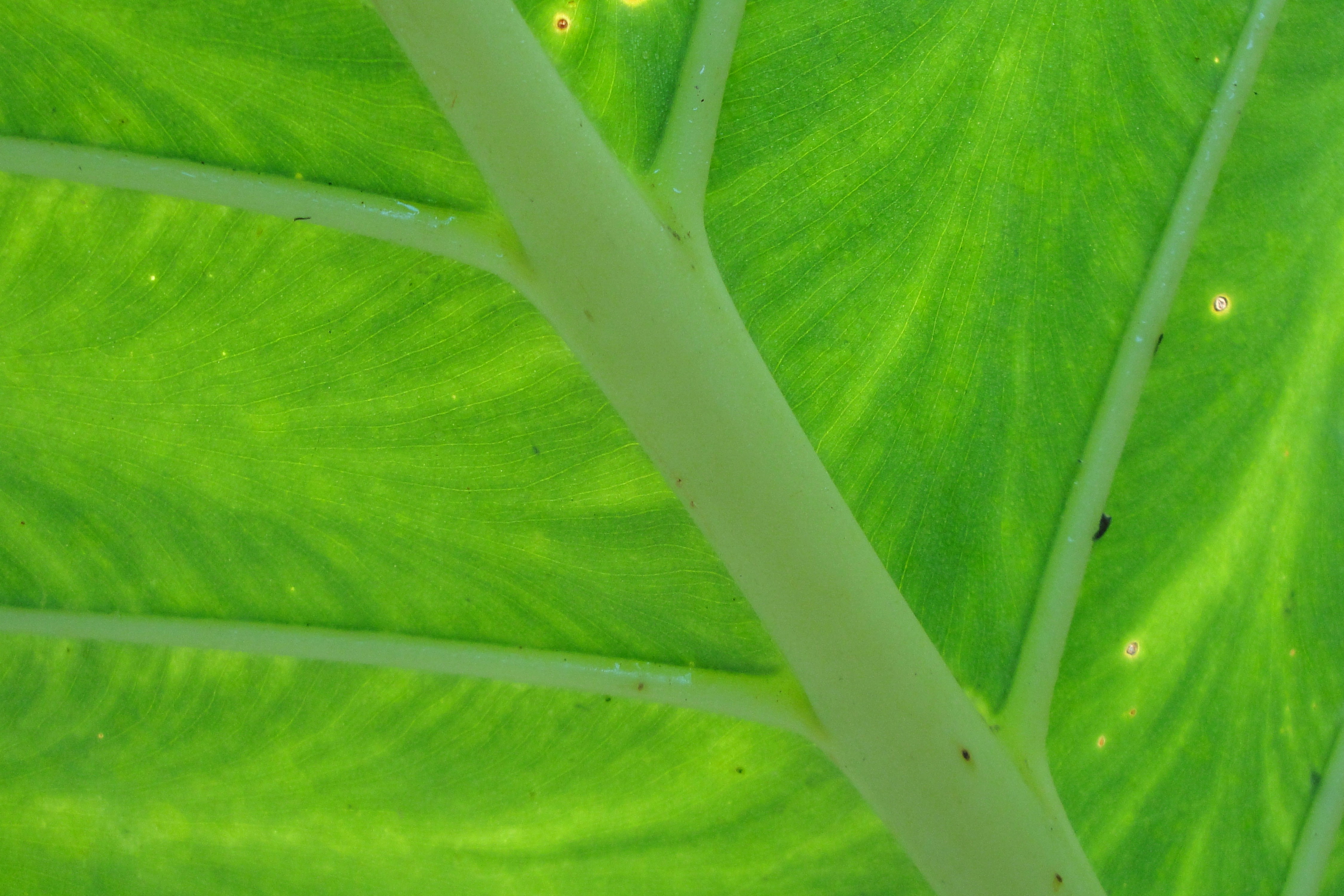 Photo by mohammad_gm