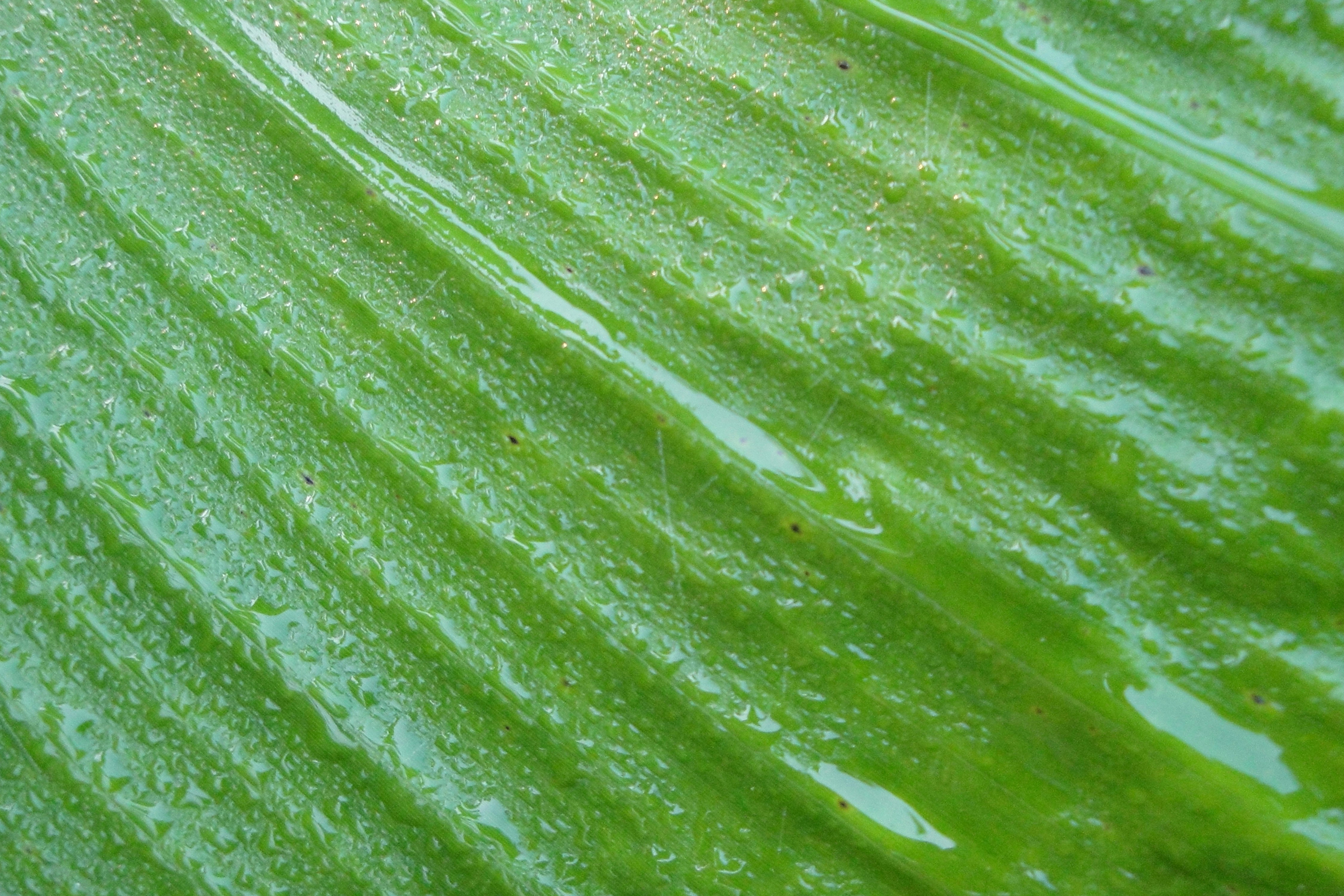 Photo by mohammad_gm