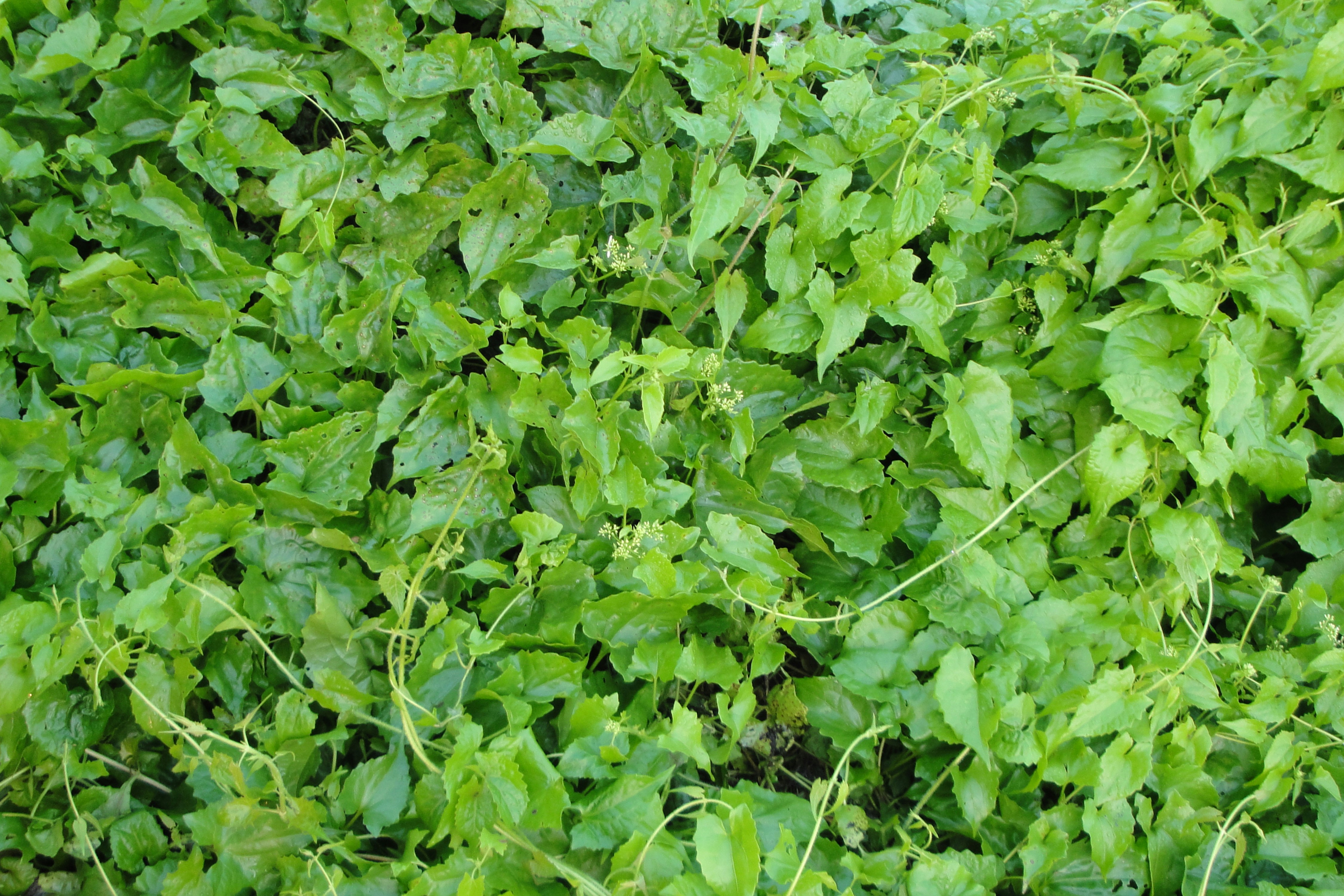 Photo by mohammad_gm