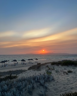 A serene beach with gentle waves lapping against the shore as the sun sets on the horizon. The sky is a blend of soft blues and warm oranges. There are sun loungers and umbrellas on the sand, with sparse greenery in the foreground.