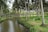A serene scene featuring a narrow water canal peacefully flowing through a lush grove of tall palm trees. The area is adorned with vibrant green grass and small plants lining the banks of the canal. A dirt path runs alongside the canal, providing a sense of calm and natural beauty.