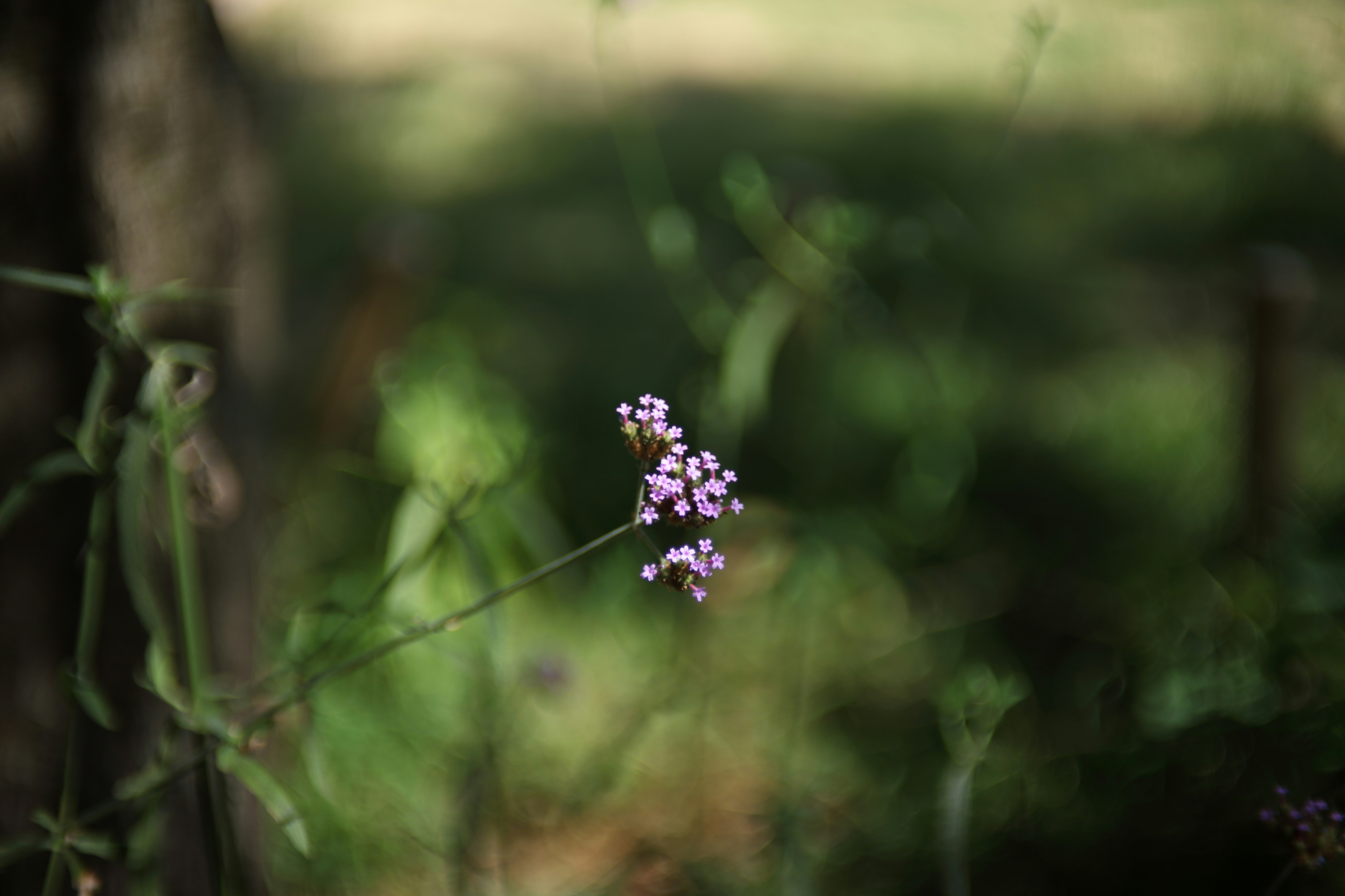 Photo by takatsuchida