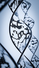 A close-up view of a stylized DNA helix with a digital and futuristic design, featuring intricate patterns and hexagonal shapes within the strands. The image has a monochromatic blue color scheme, emphasizing a modern, scientific aesthetic.