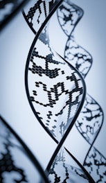 A close-up view of a stylized DNA helix with a digital and futuristic design, featuring intricate patterns and hexagonal shapes within the strands. The image has a monochromatic blue color scheme, emphasizing a modern, scientific aesthetic.
