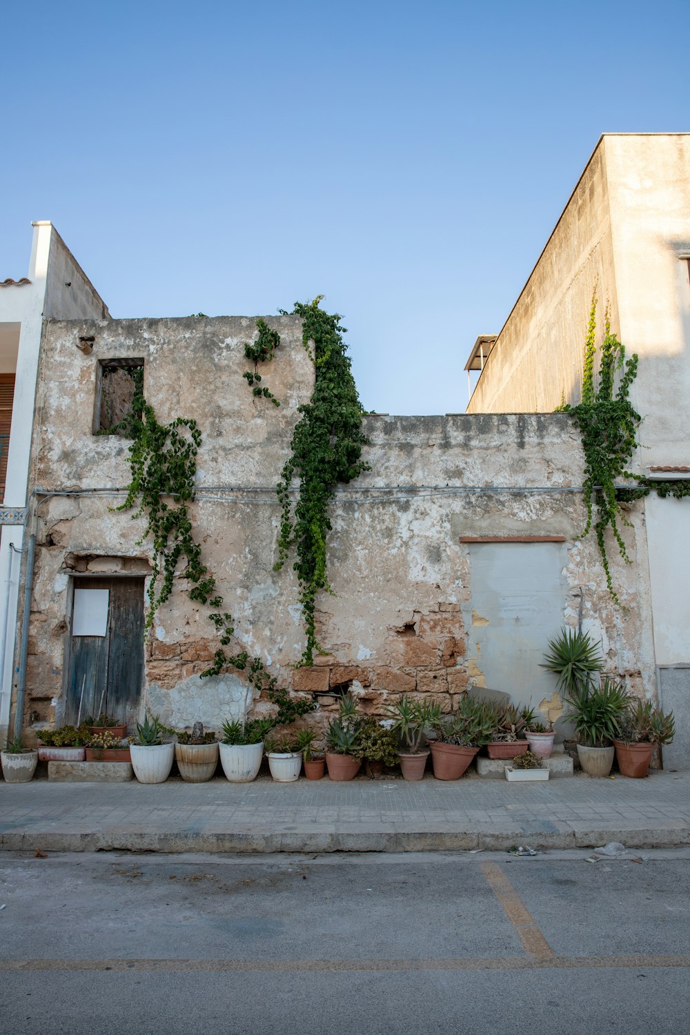 a bunch of potted plants on the side of a building