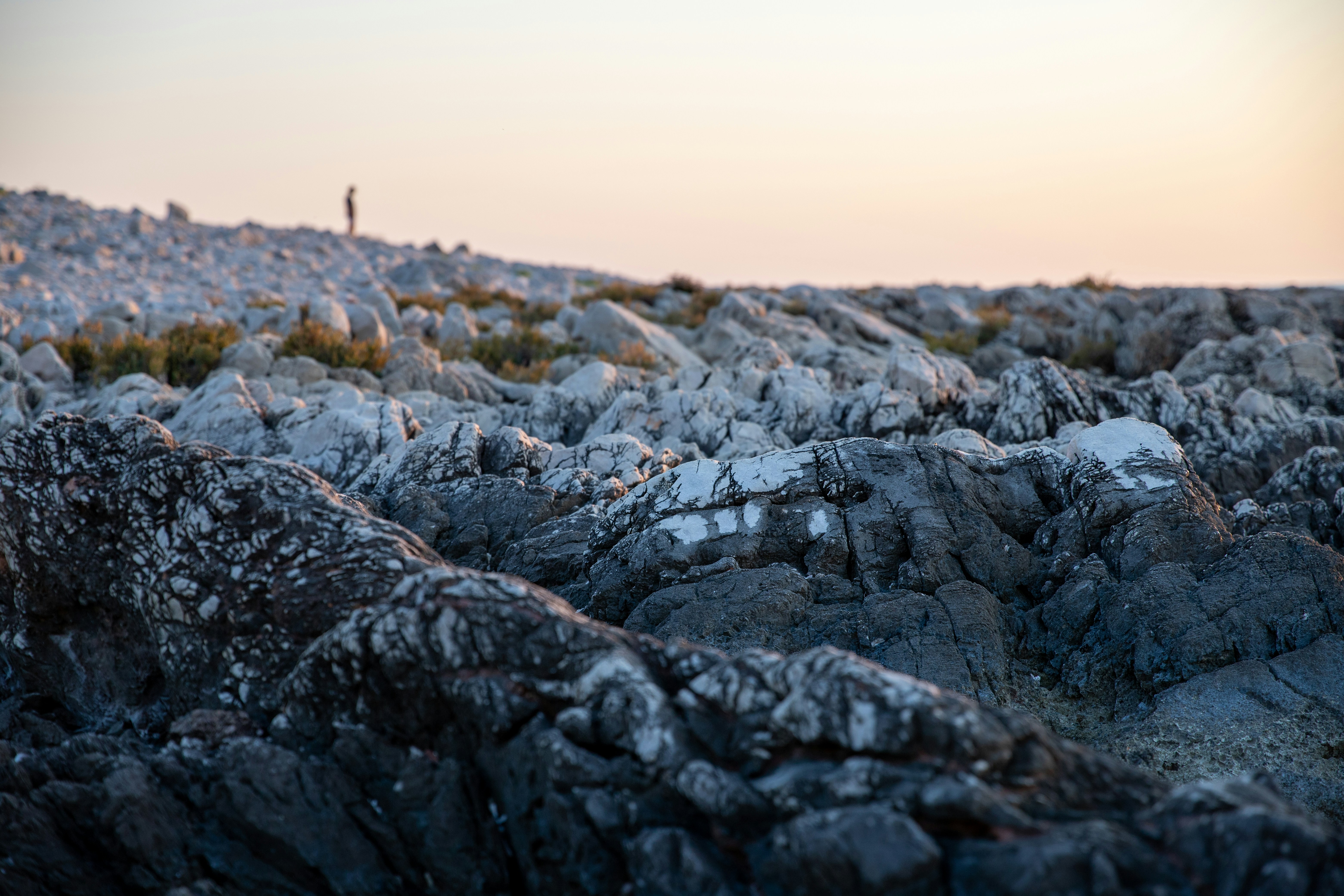 Photo by sashasmelova