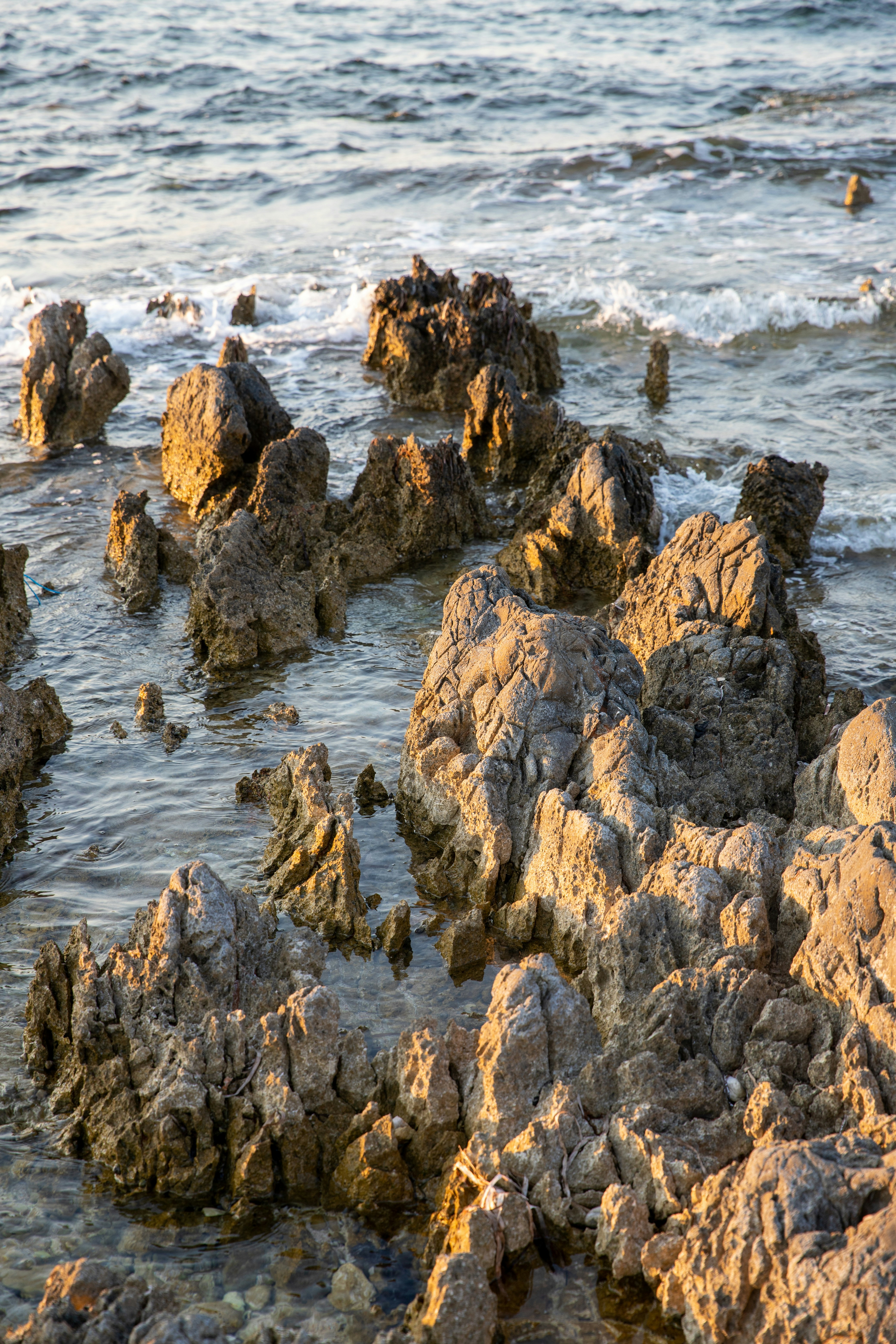 Photo by sashasmelova