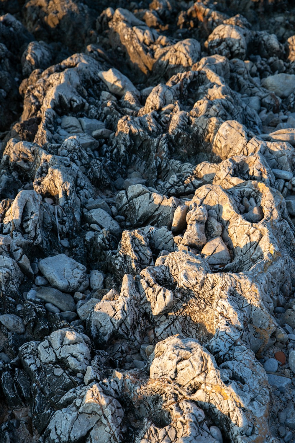 a bunch of rocks that are in the dirt