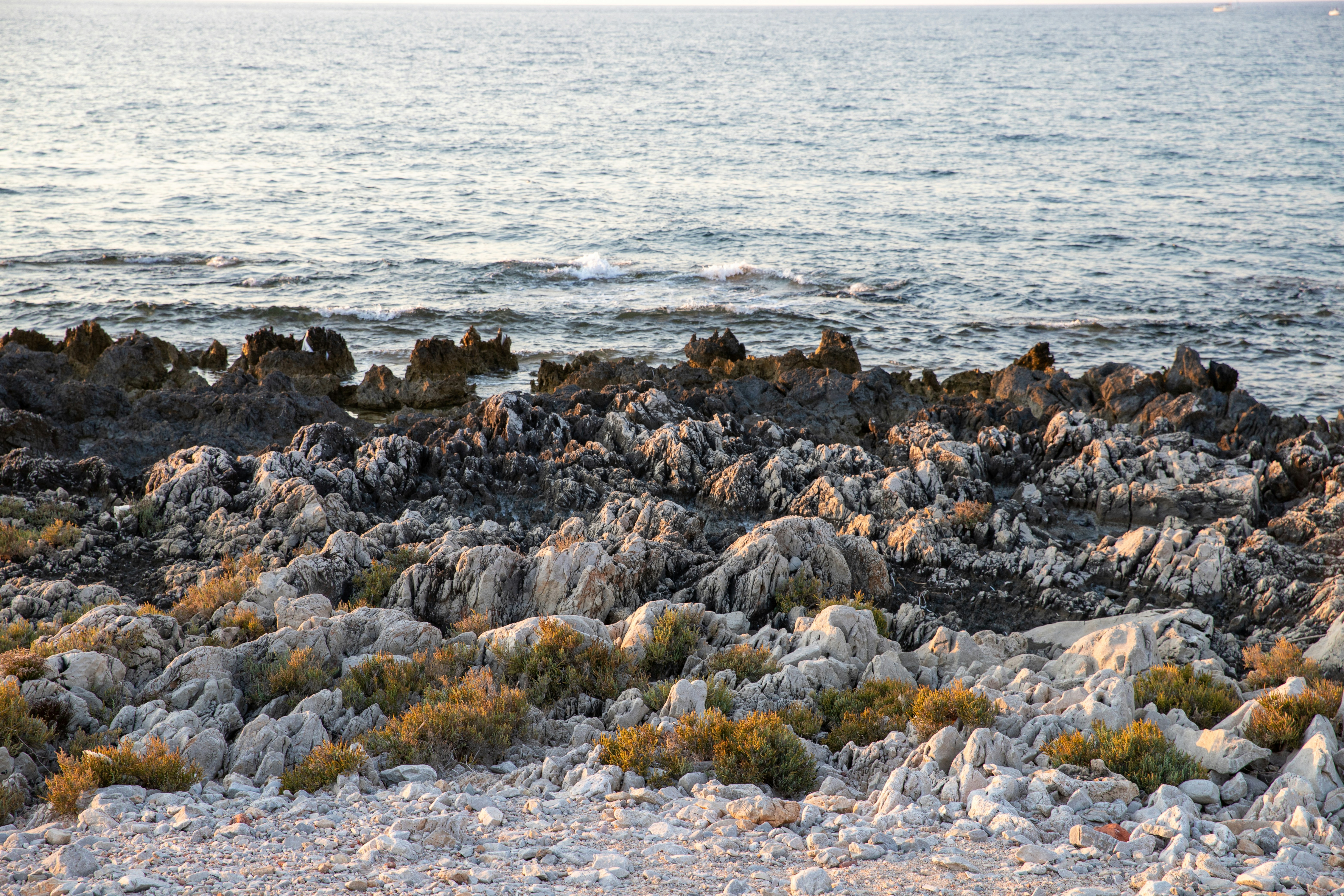 a bunch of rocks that are by the water