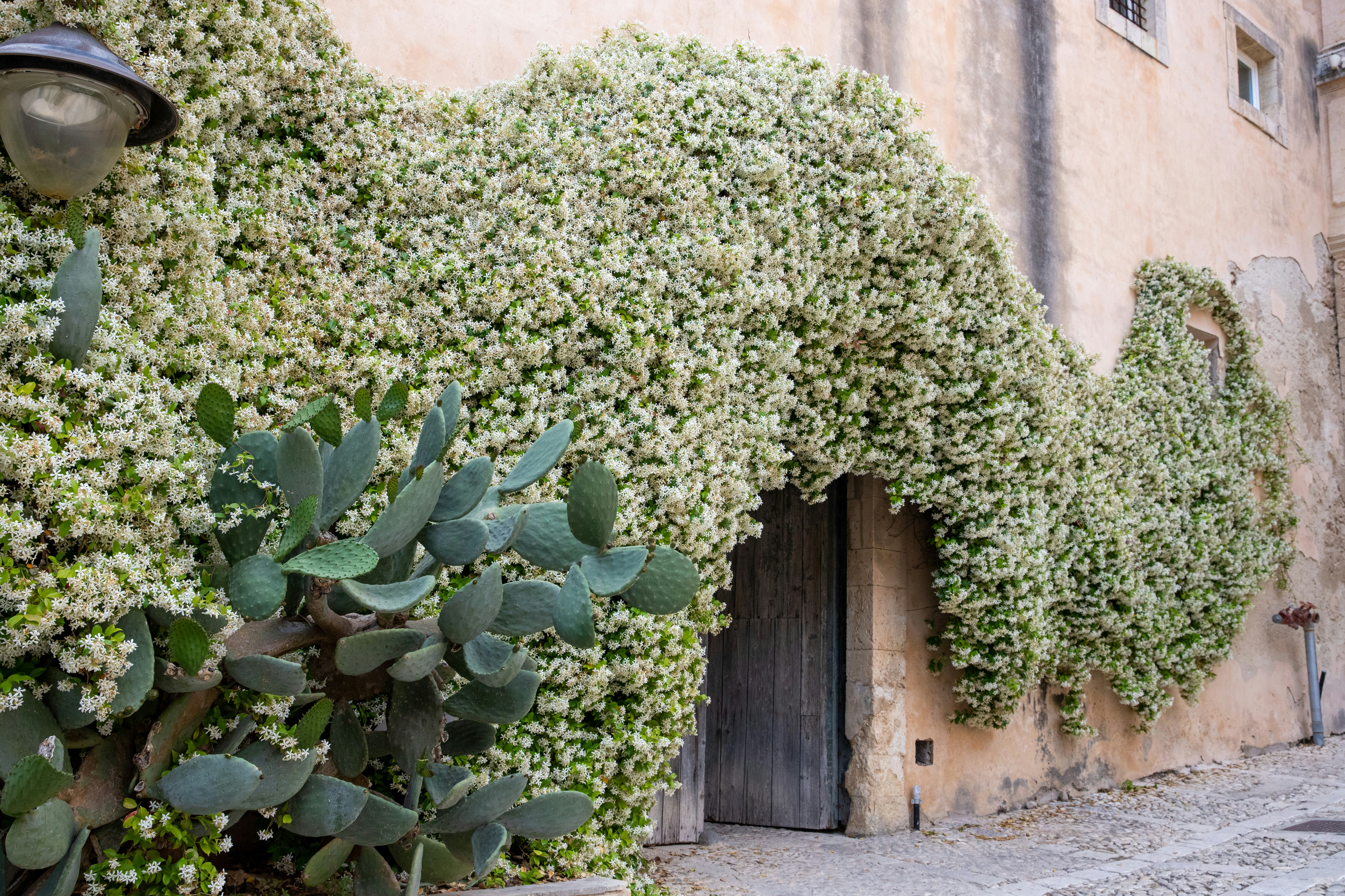 a building with a bunch of plants growing on the side of it
