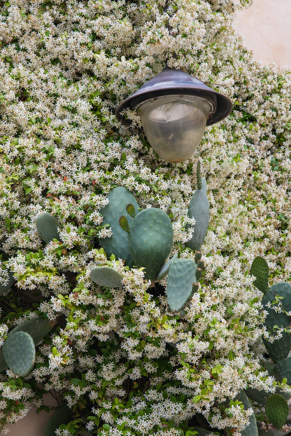 a street light sitting on top of a lush green plant