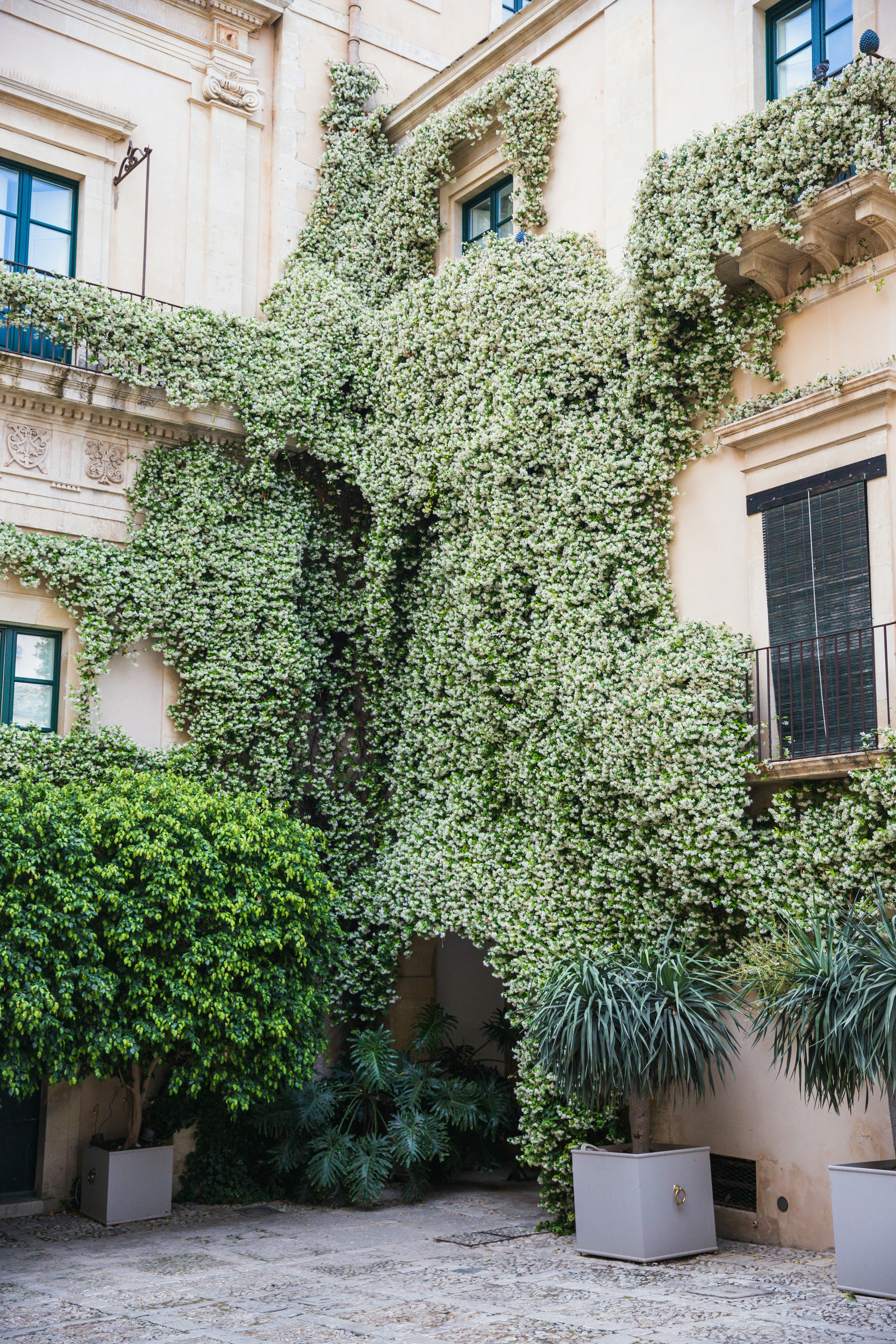 a building covered in vines and plants in front of it