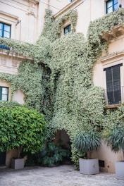 A historic building with vintage architecture and greenery.