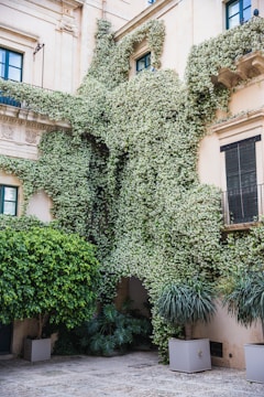 A historic building with vintage architecture and greenery.
