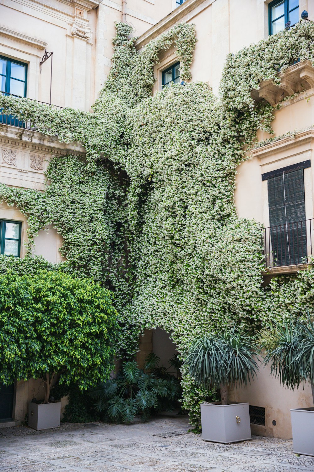 a building covered in vines and plants in front of it