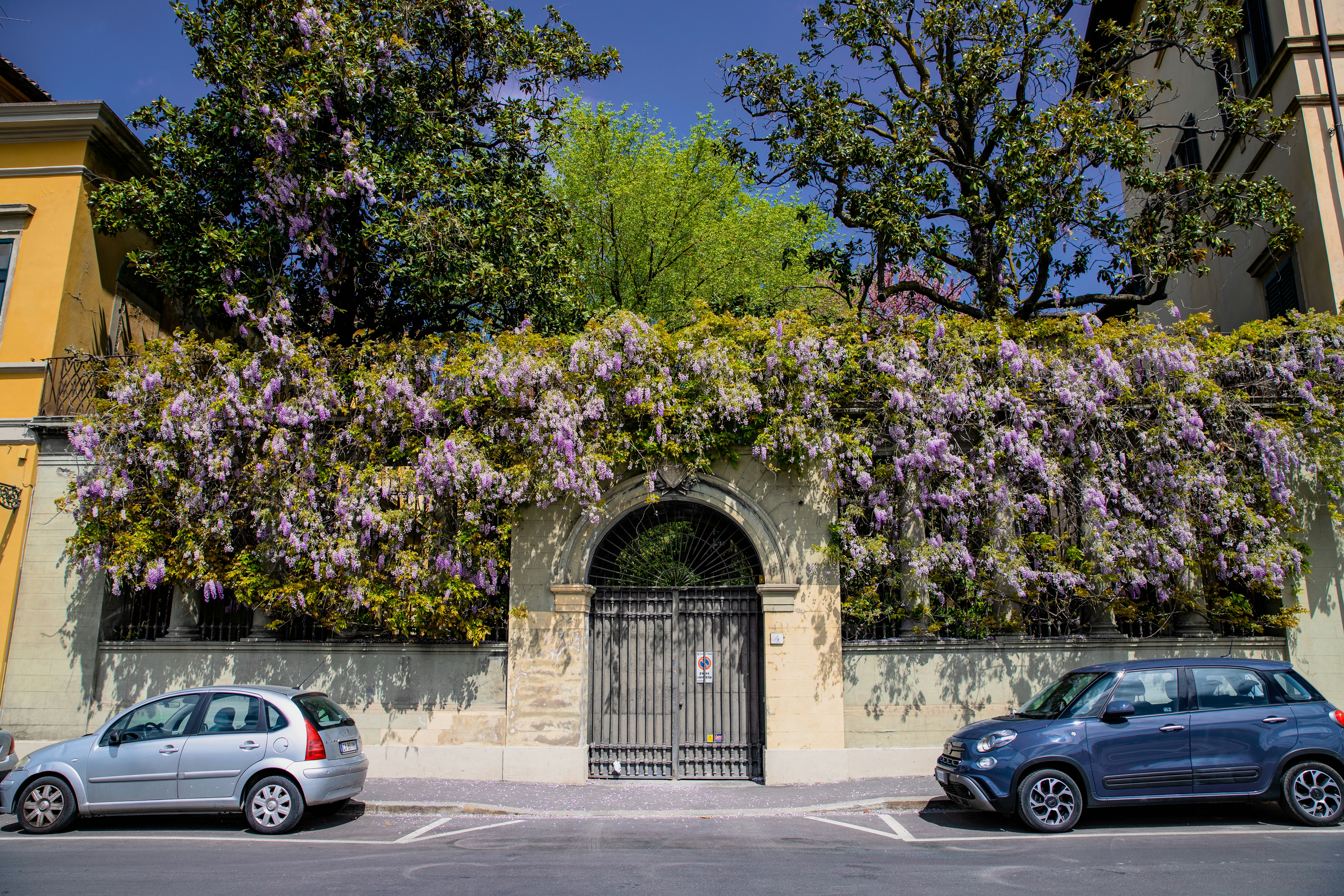two cars parked in front of a building covered in purple flowers