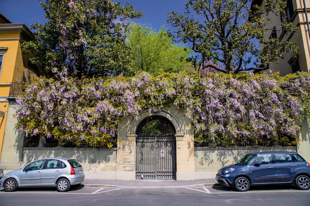 two cars parked in front of a building covered in purple flowers