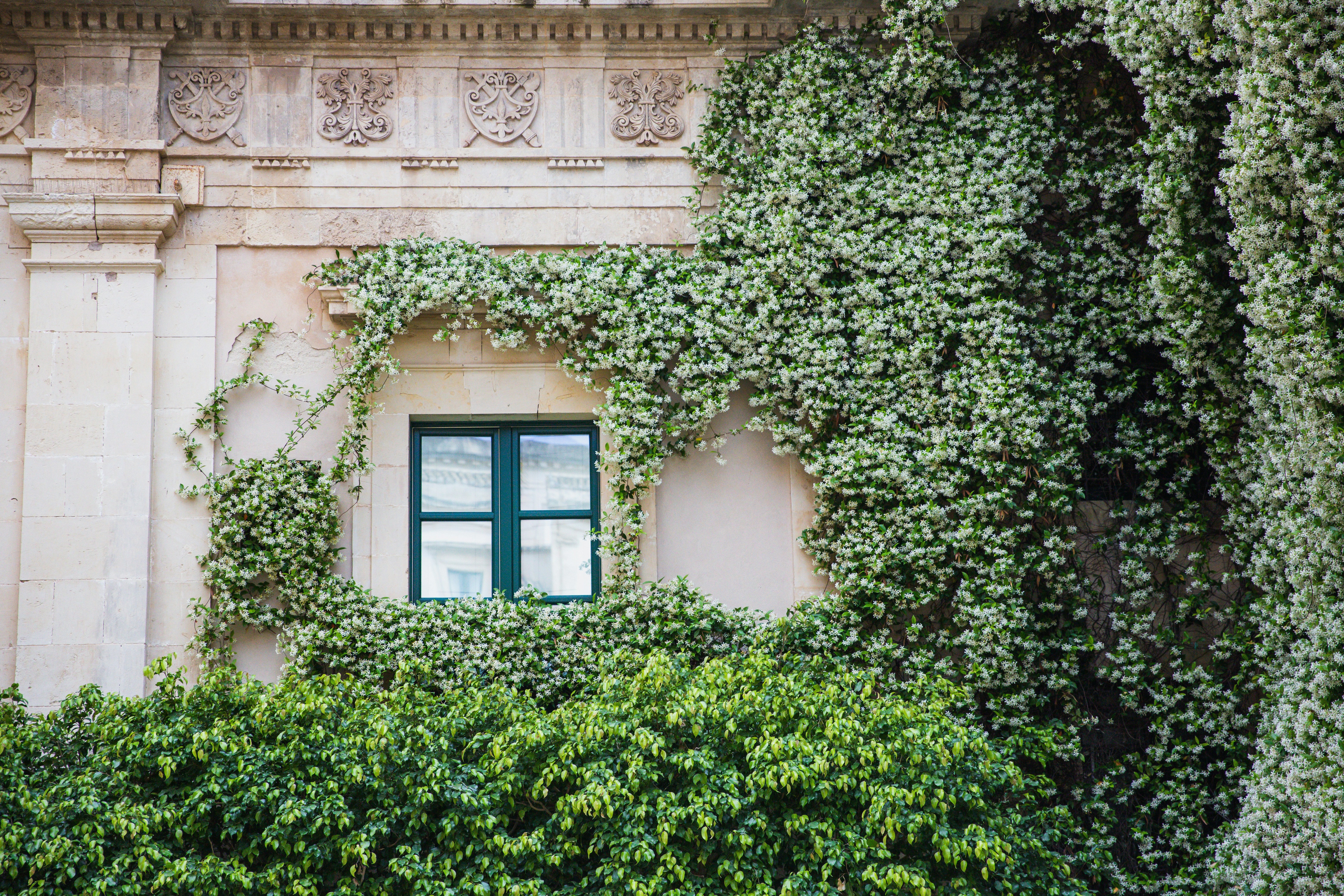 Photo by sashasmelova