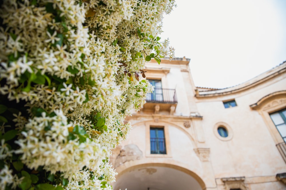 a building that has a bunch of flowers on it