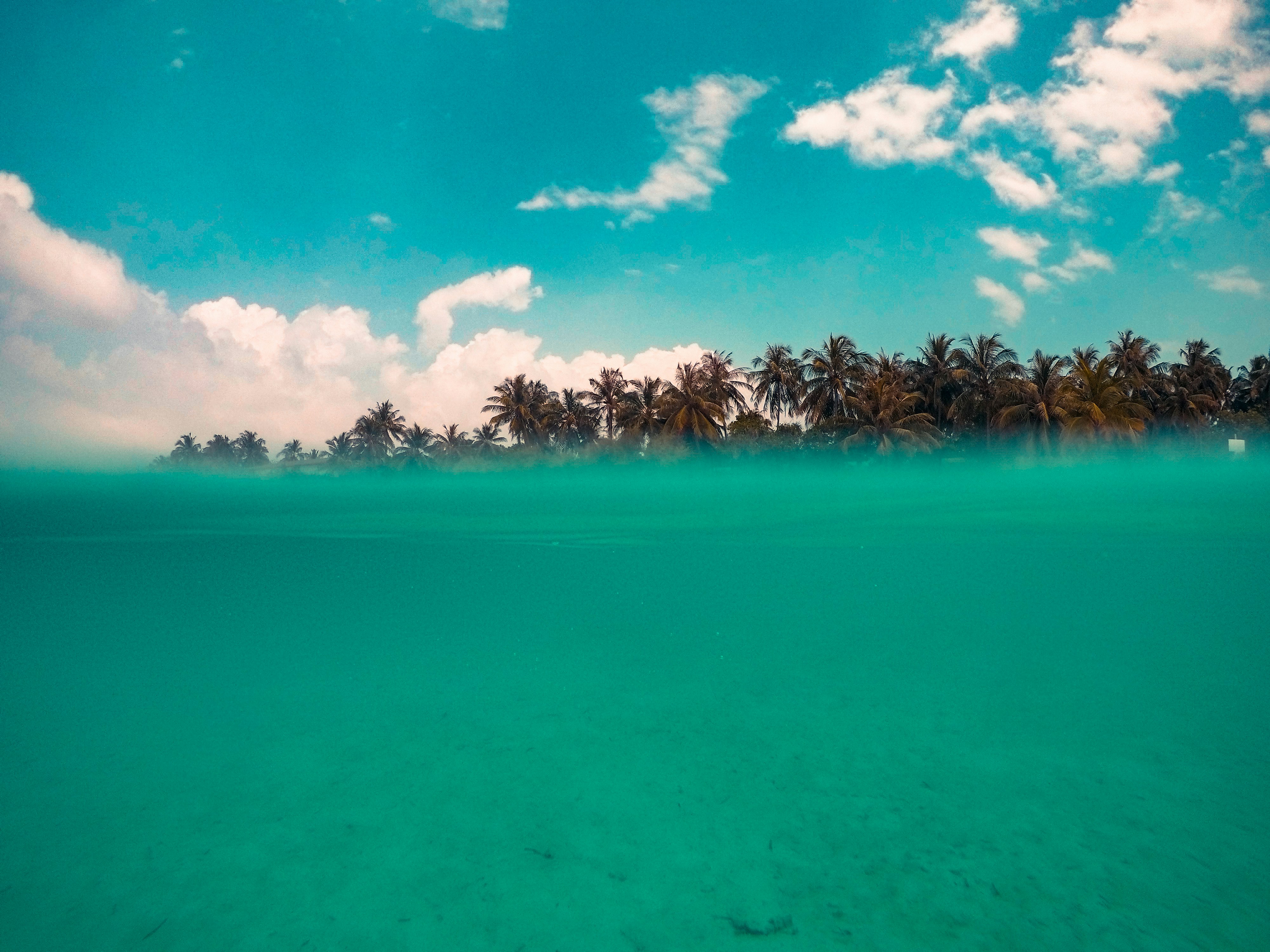 Photo by mo_design_3d